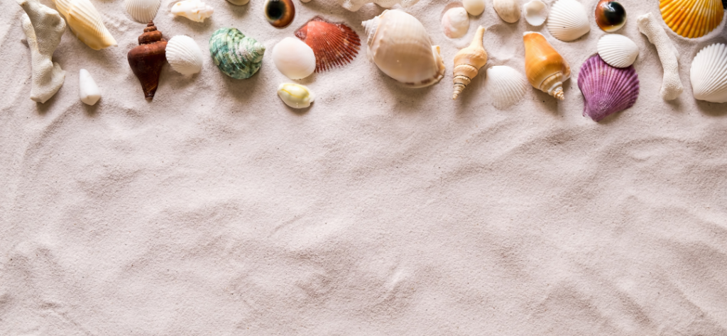 Photo d'une piscine avec plage à Niort